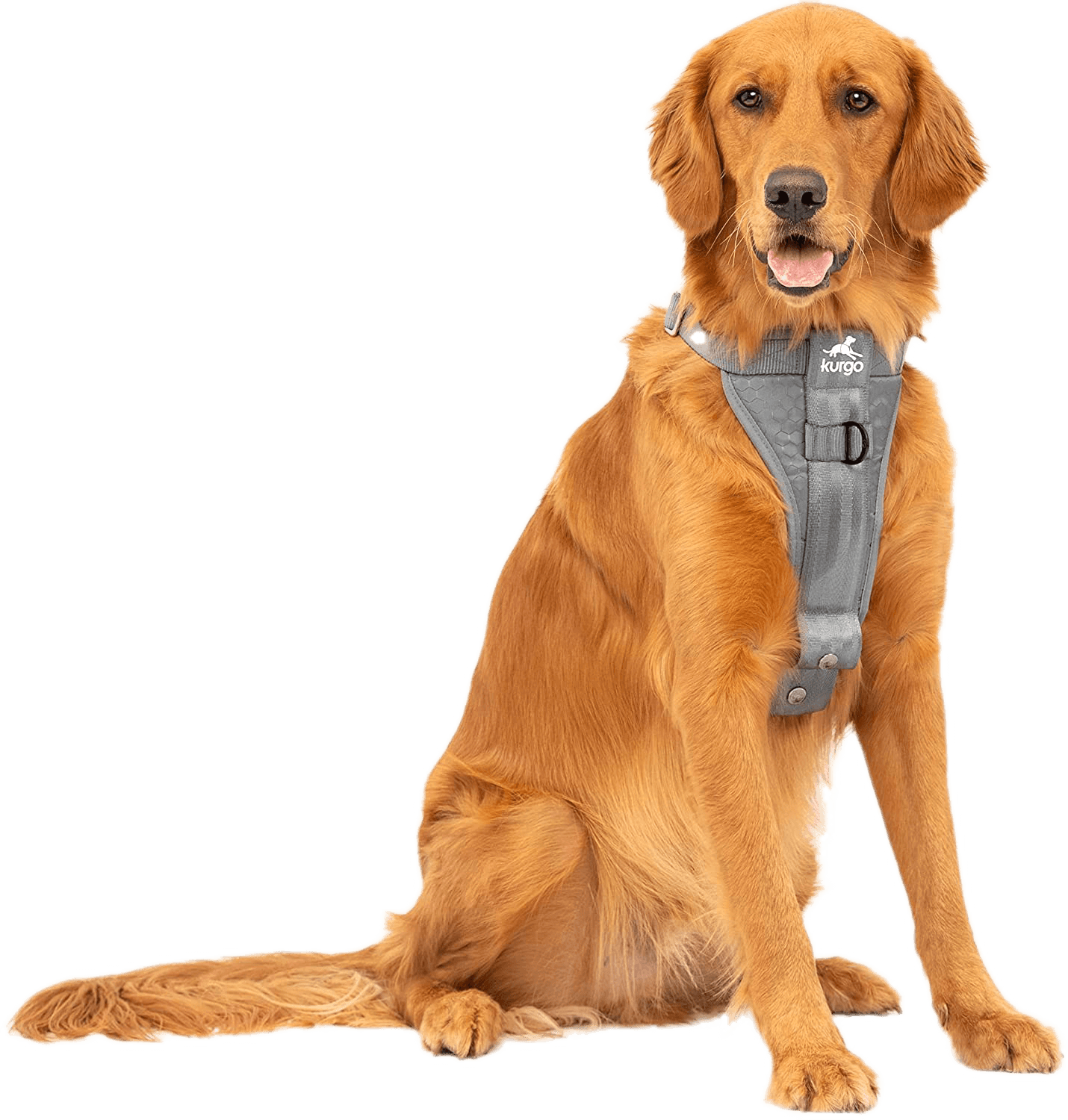 Dog travel accessories Kurgo Tru-Fit Enhanced Strength Dog Harness