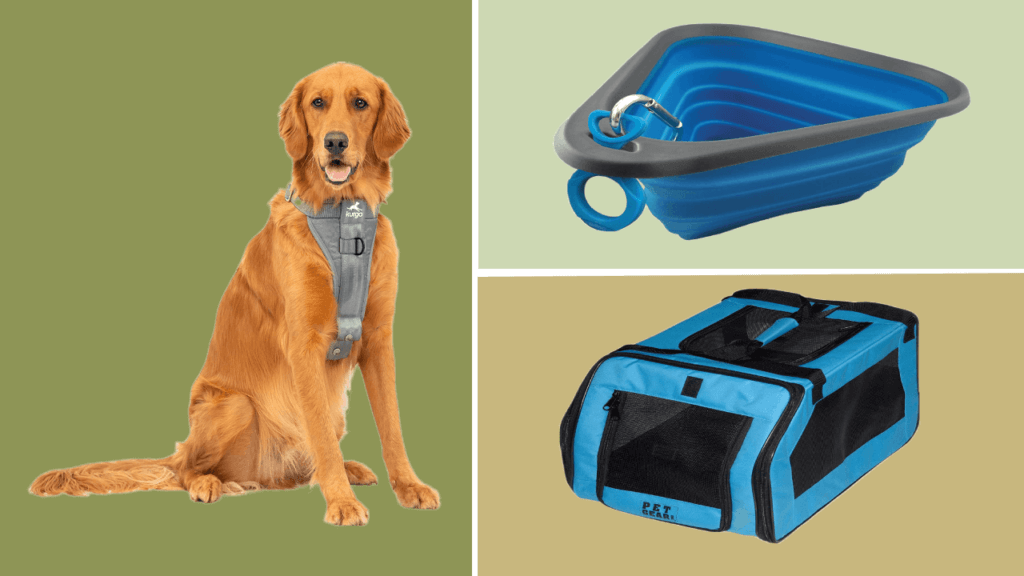 dog travel accessories feature image