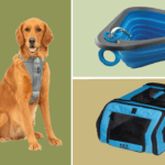 dog travel accessories feature image