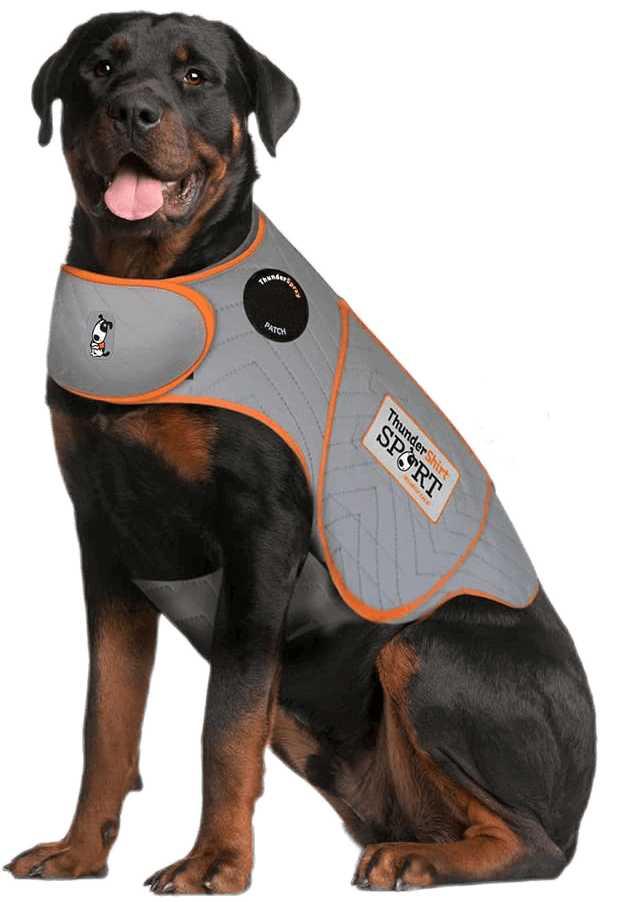 Thundershirt dogs clothing Thundershirt Dog Anxiety Jacket dog travel accessories