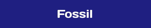 fossil check price