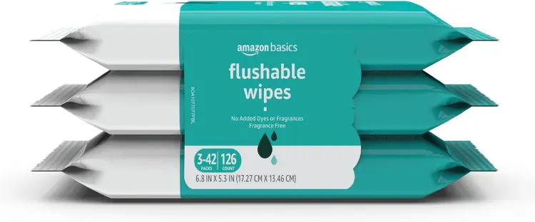 Amazon Basics Flushable Adult Toilet