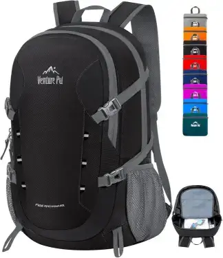 Venture Pal Lightweight Packable Backpack