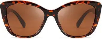 FEISEDY Polarized Vintage Sunglasses