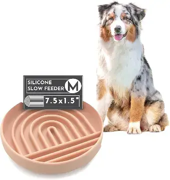 The Slowdown Bowl