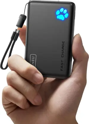 INIU Portable Charger