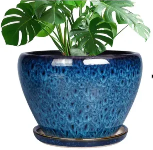 Ceramicfor 10 Inch Ceramic Planter Pot