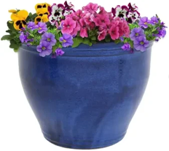 Sunnydaze Large Ceramic Plant Pot