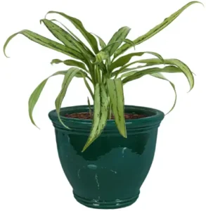 Sunnydaze Large Ceramic Plant Pot